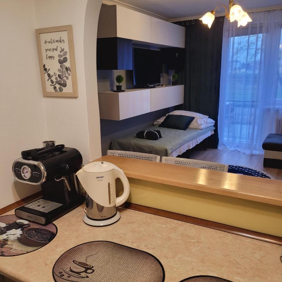Apartament 22 Stycznia 3 Przemyśl Εξωτερικό φωτογραφία